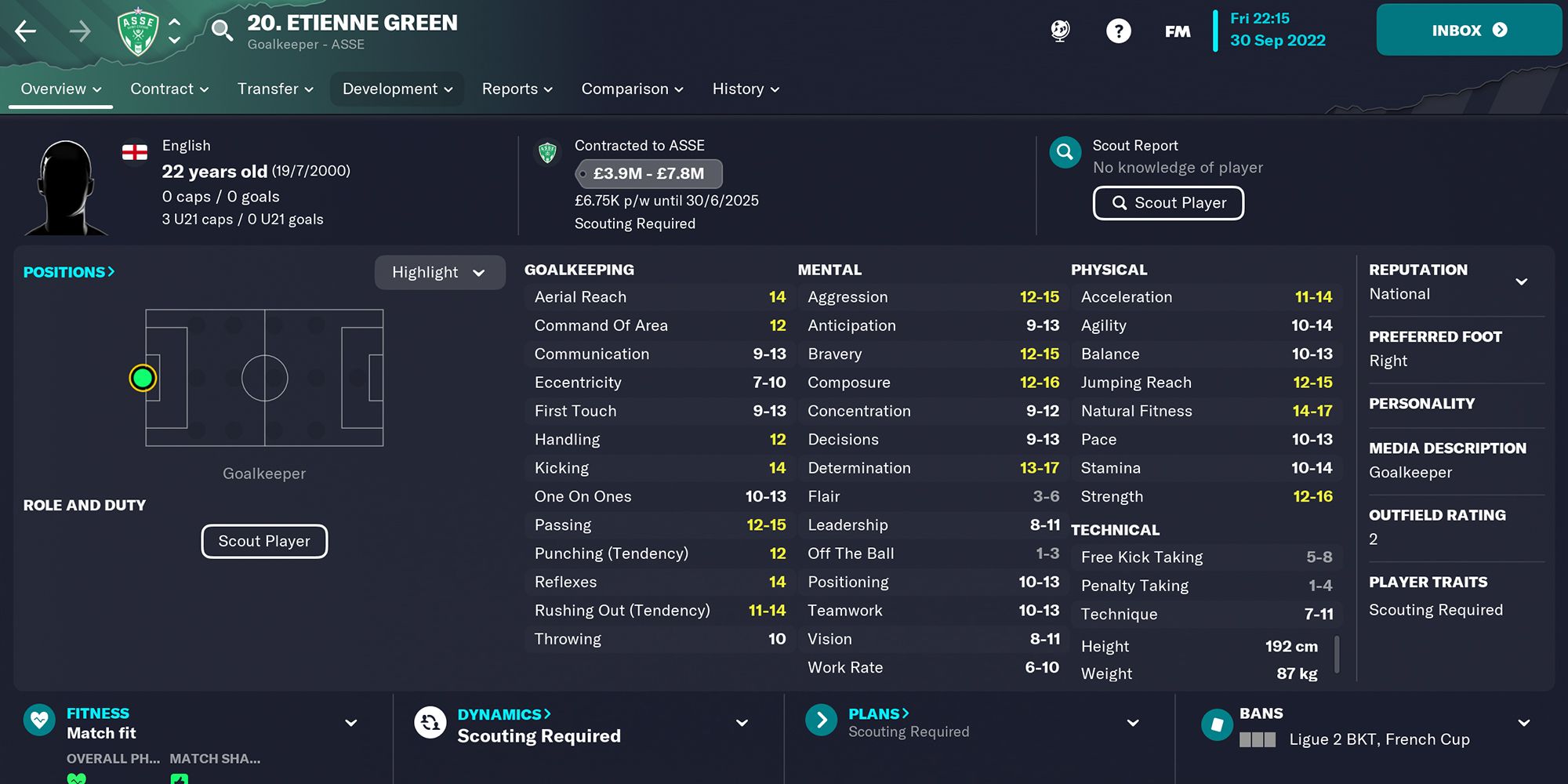 Screenshot of Etienne Green In Football Manager 23